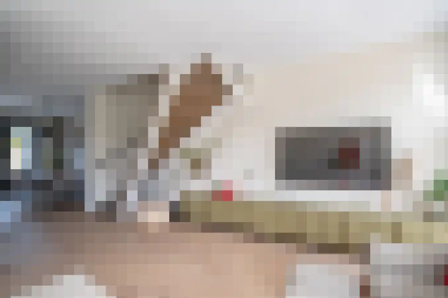Mensinge 5 Meppel thumbnail 7