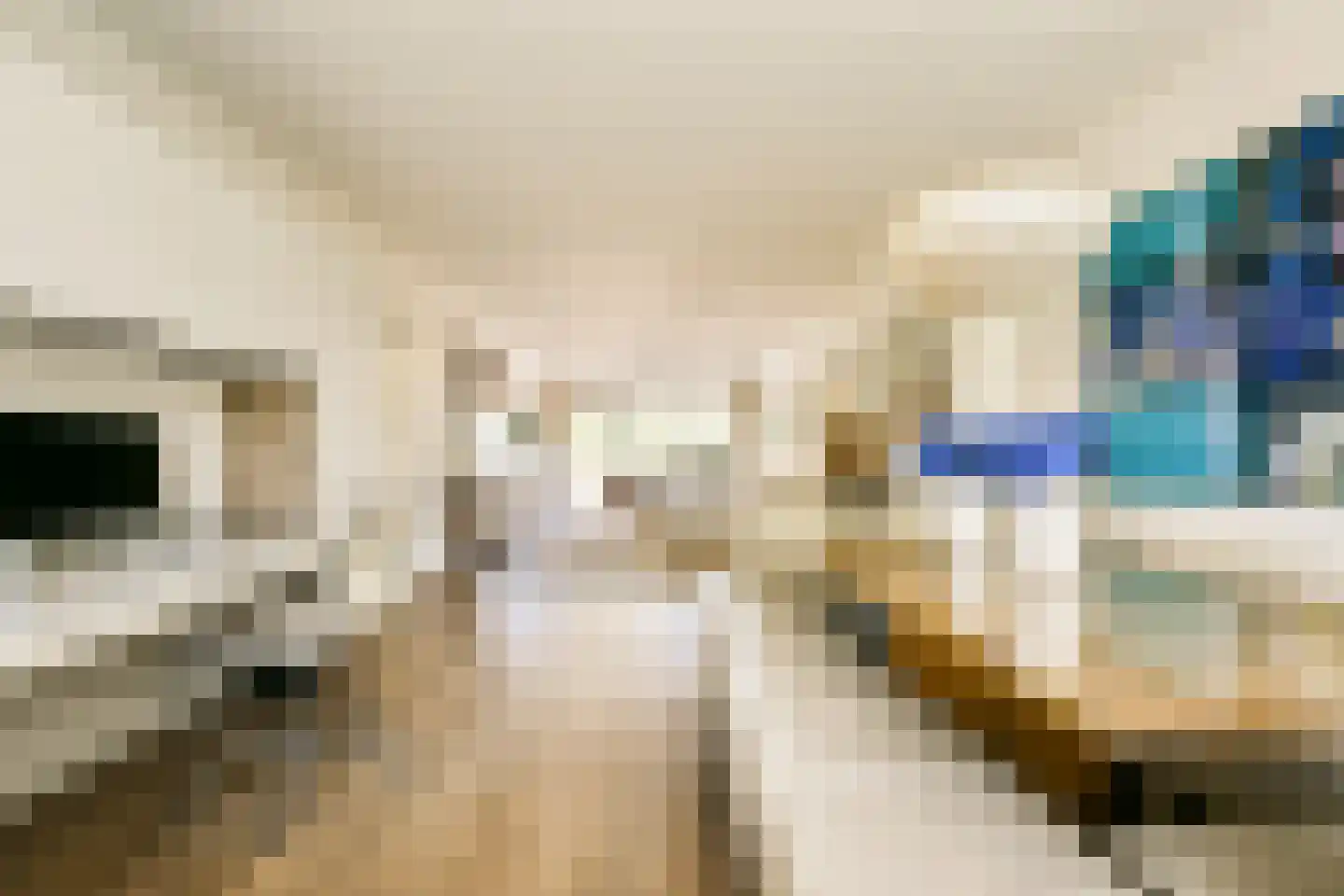 Mensinge 55 Amsterdam thumbnail 15