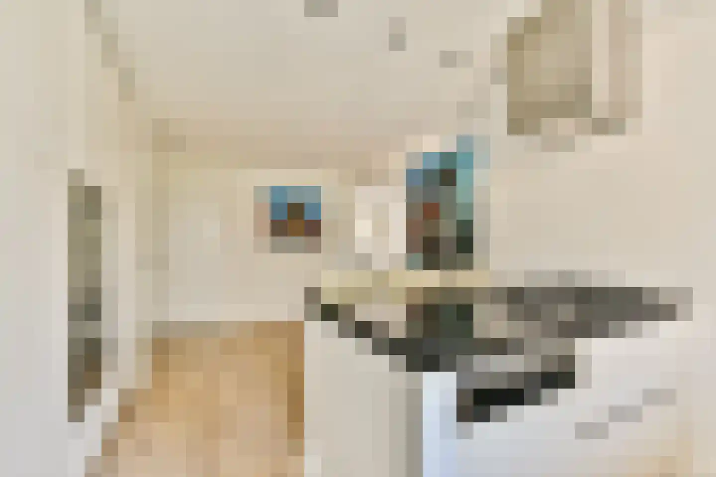 Mensinge 55 Amsterdam thumbnail 16
