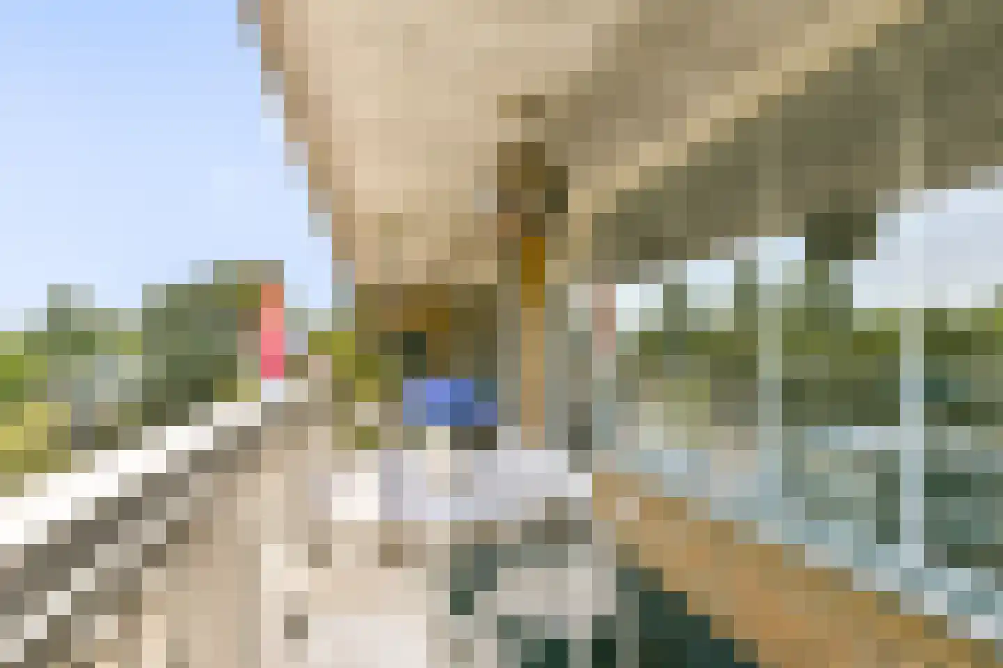 Mensinge 55 Amsterdam thumbnail 20