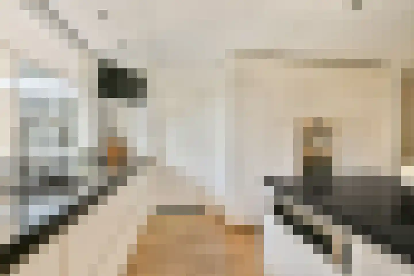Mensinge 55 Amsterdam thumbnail 20