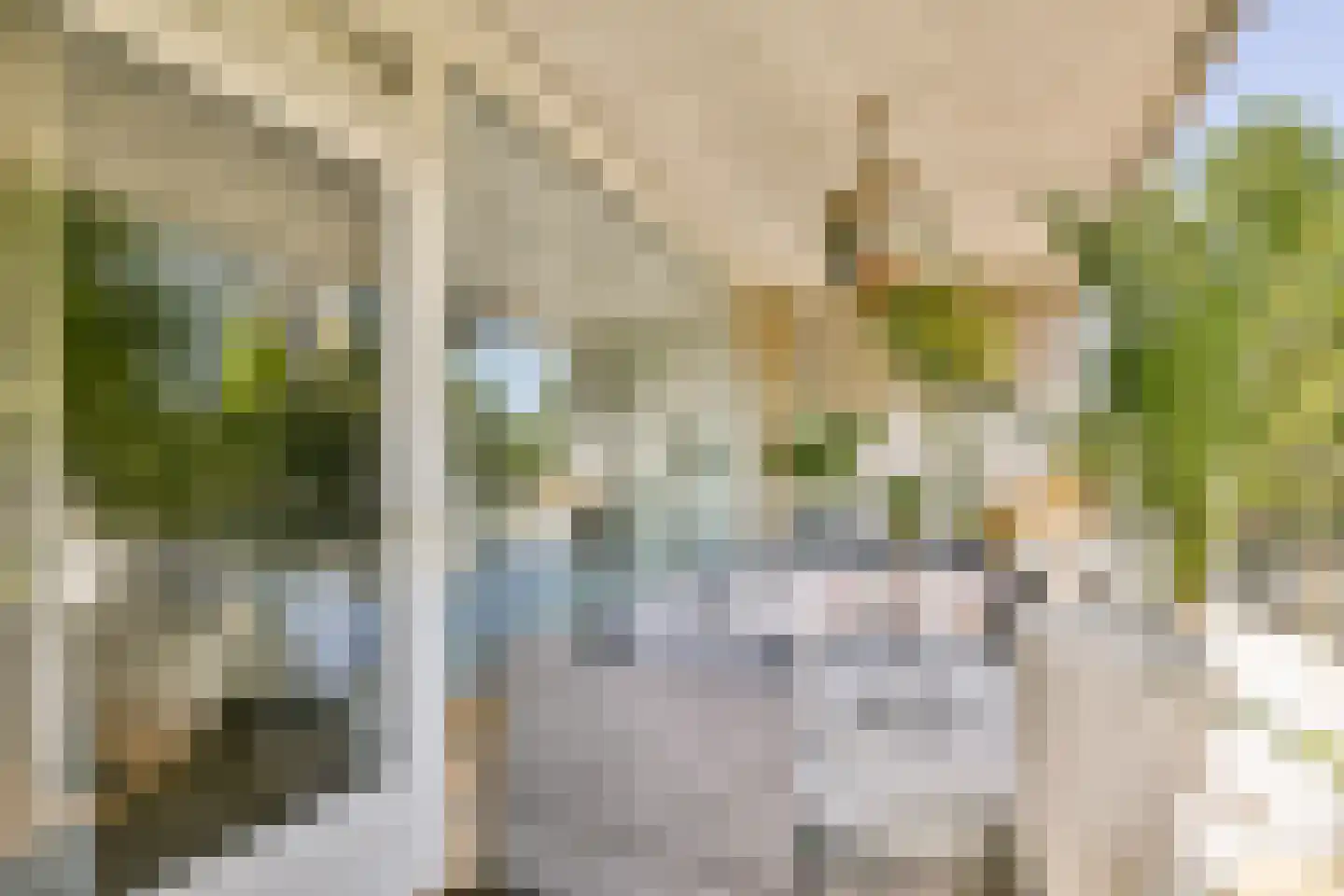 Mensinge 55 Amsterdam thumbnail 21