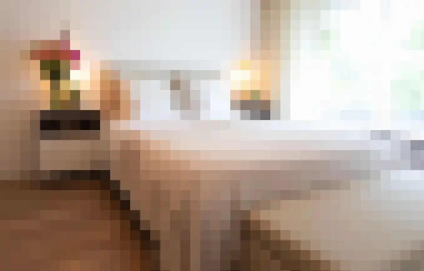 Mensinge 55 Amsterdam thumbnail 26