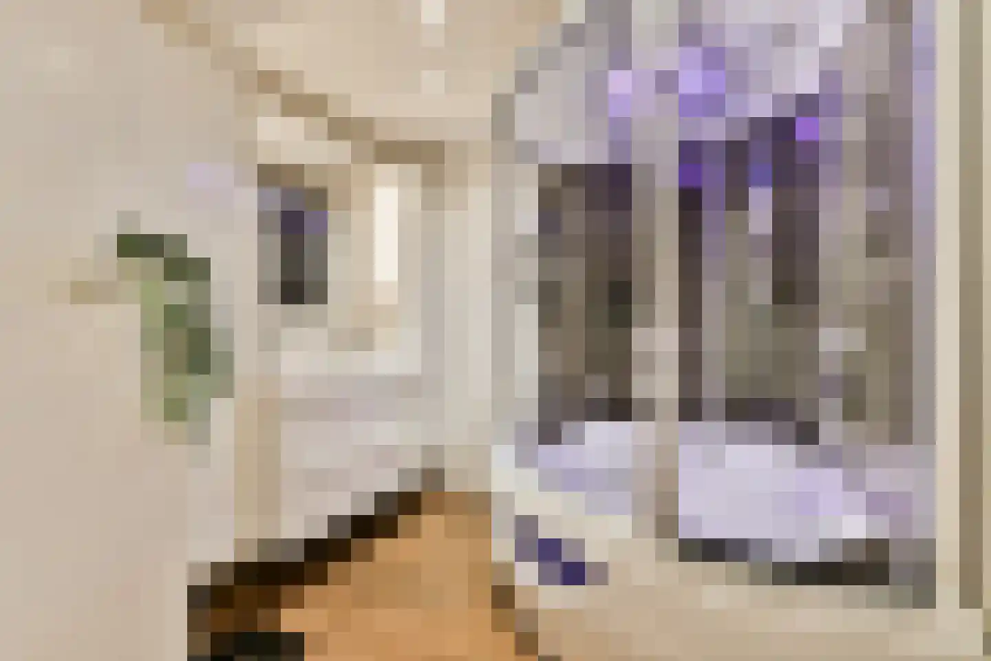 Mensinge 55 Amsterdam thumbnail 27