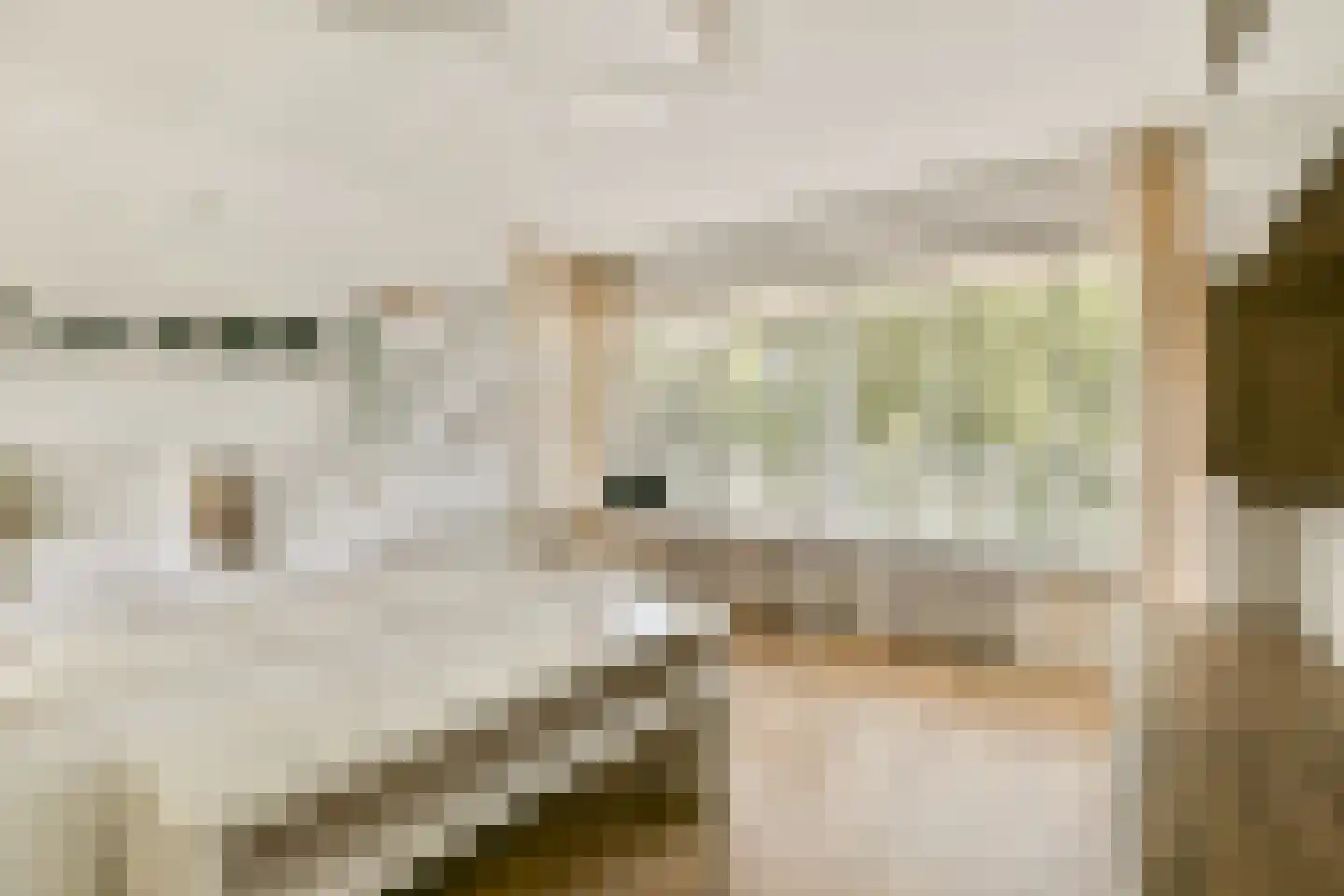 Mensinge 55 Amsterdam thumbnail 30