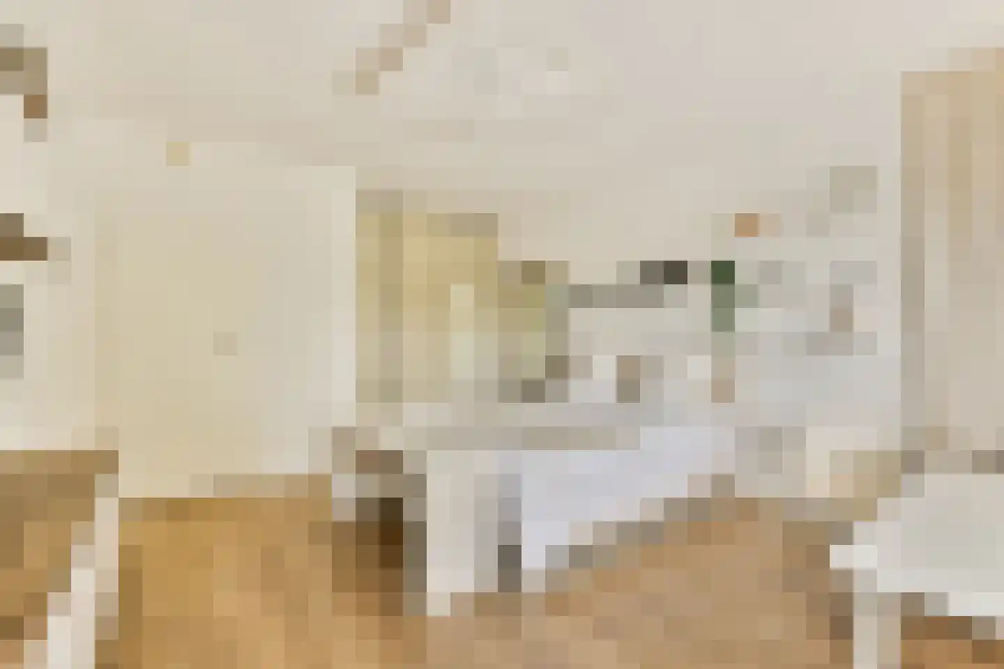 Mensinge 55 Amsterdam thumbnail 31