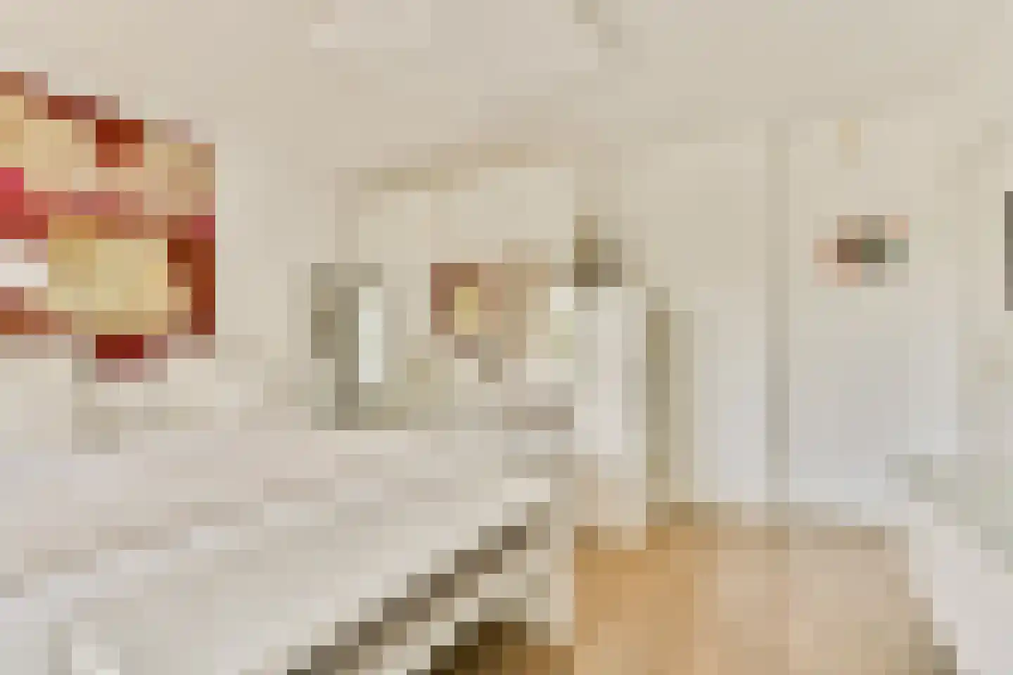 Mensinge 55 Amsterdam thumbnail 33