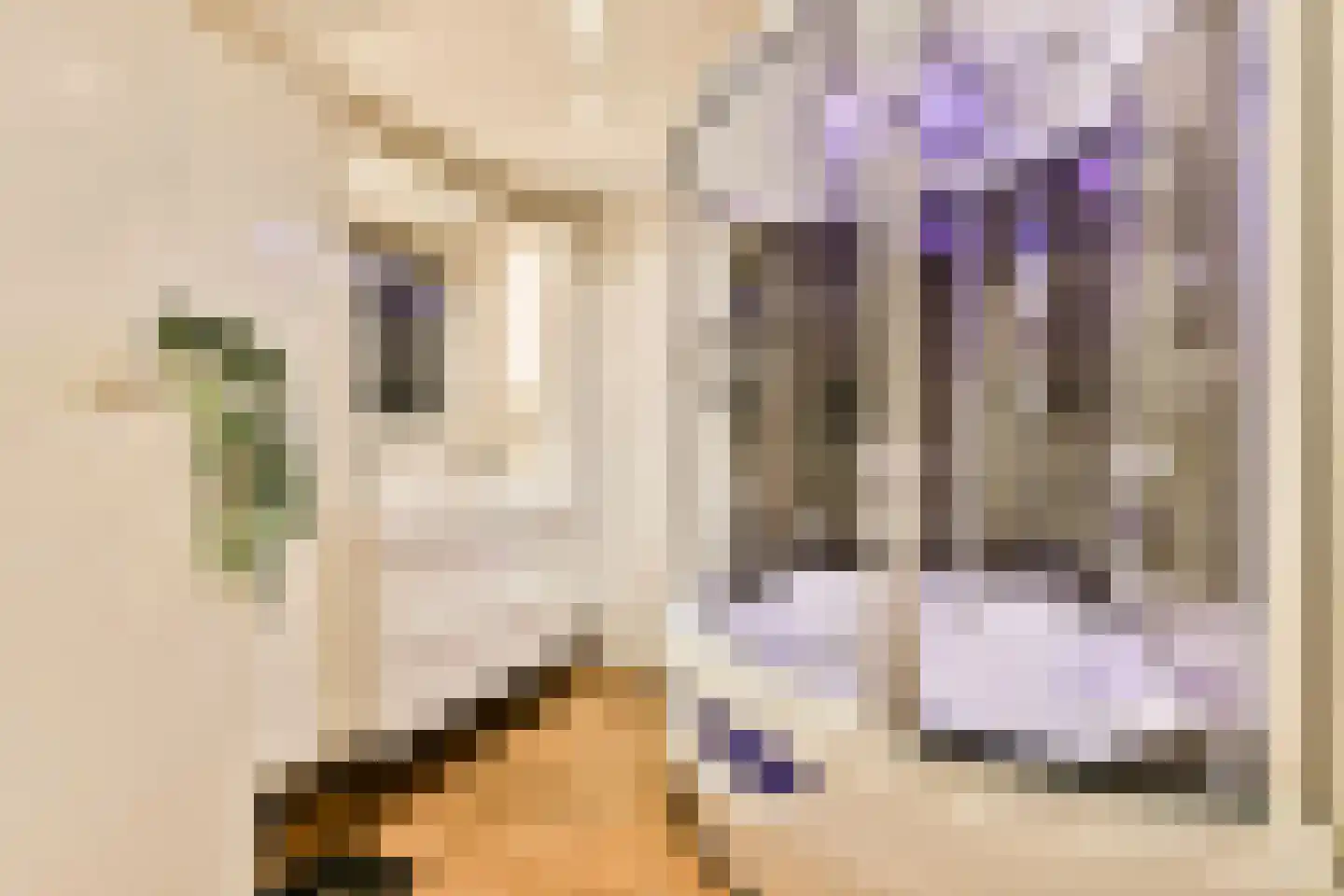 Mensinge 55 Amsterdam thumbnail 35