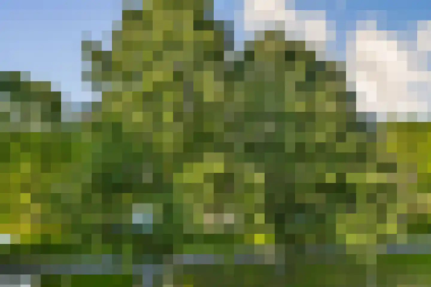 Mensinge 55 Amsterdam thumbnail 37