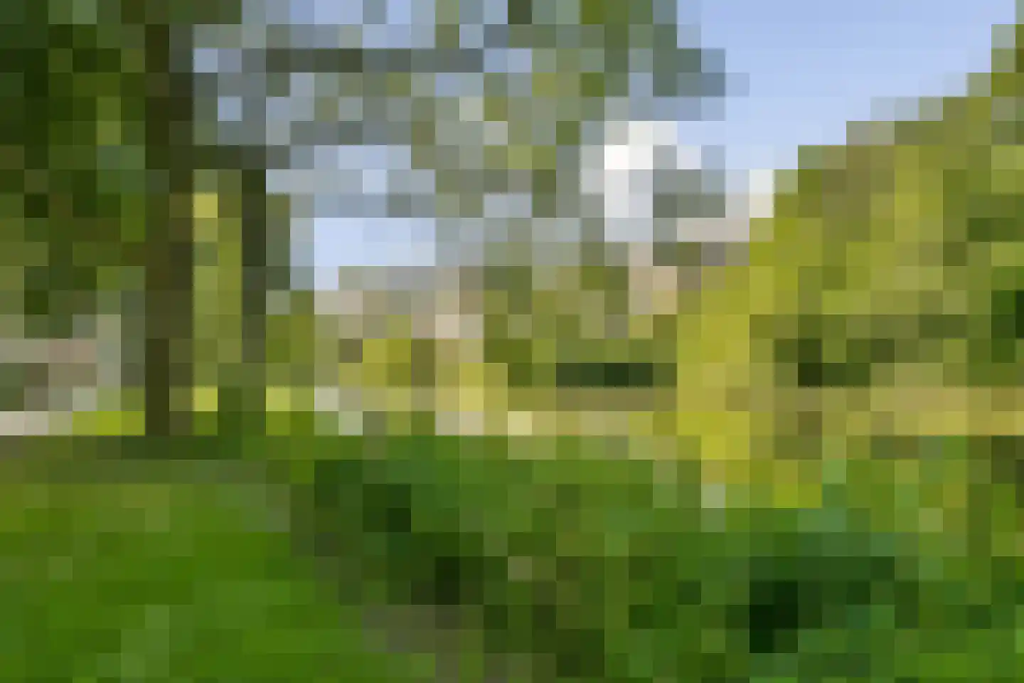 Mensinge 55 Amsterdam thumbnail 38