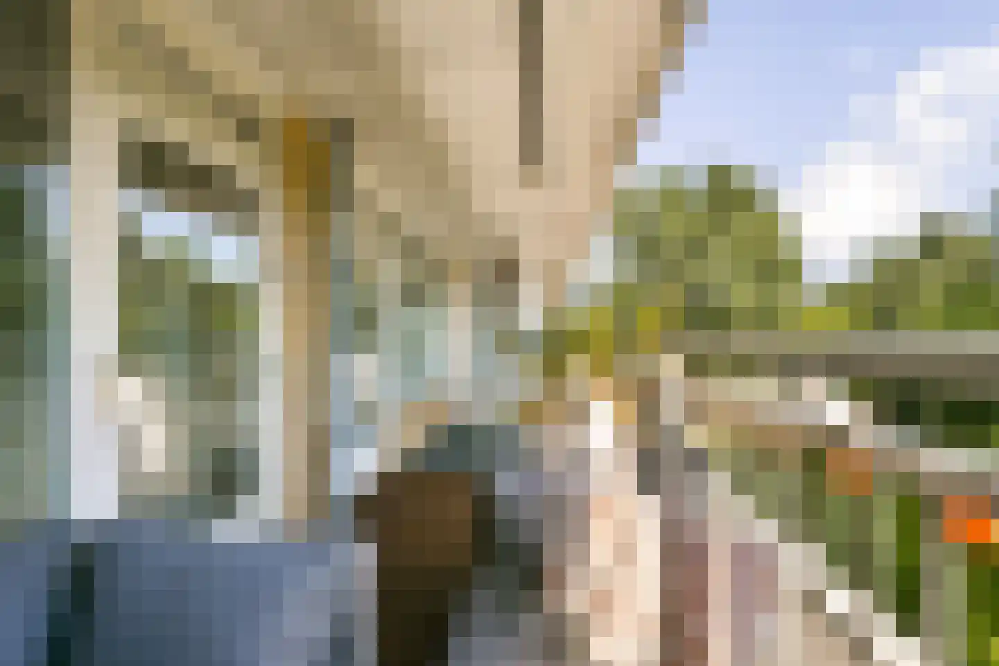 Mensinge 55 Amsterdam thumbnail 4
