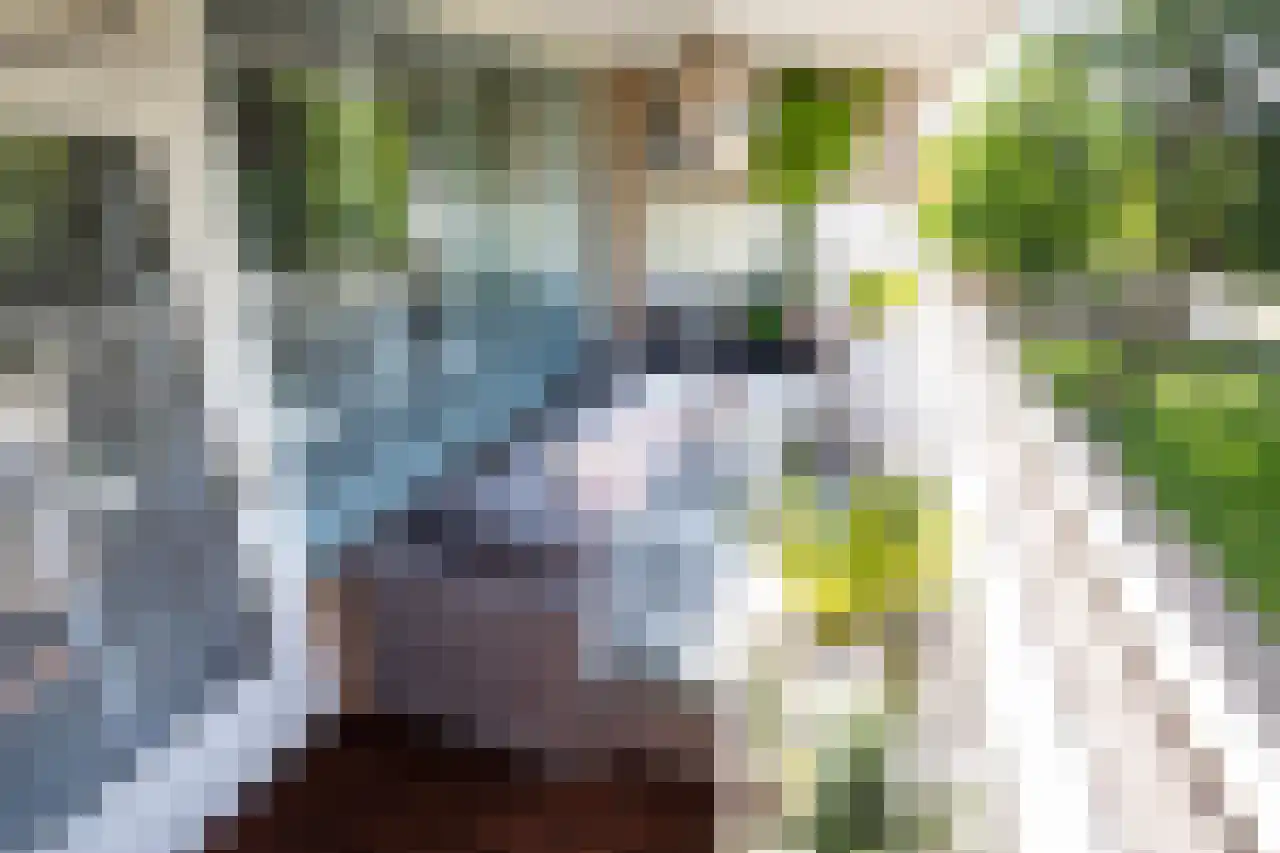 Mensinge 55 Amsterdam thumbnail 54