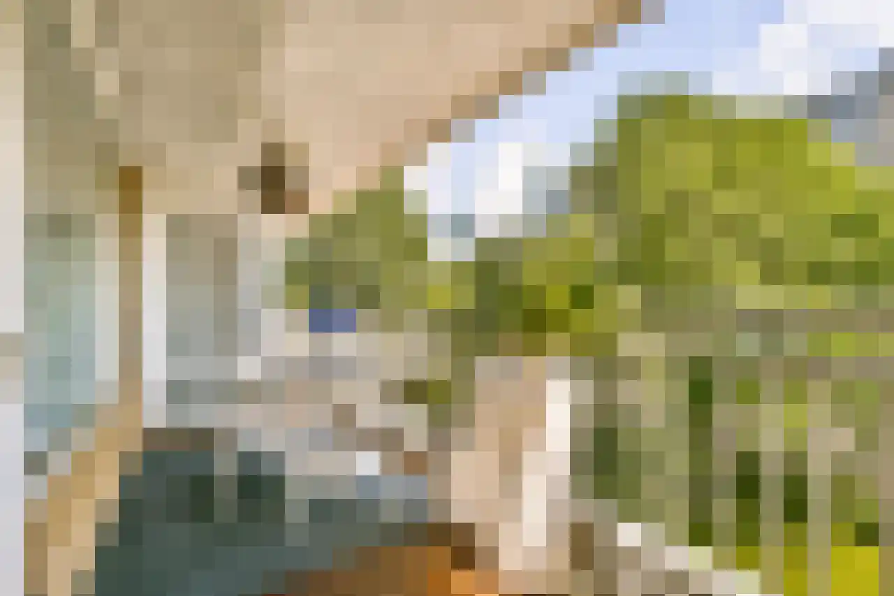 Mensinge 55 Amsterdam thumbnail 64