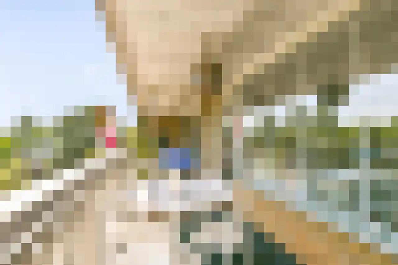 Mensinge 55 Amsterdam thumbnail 65
