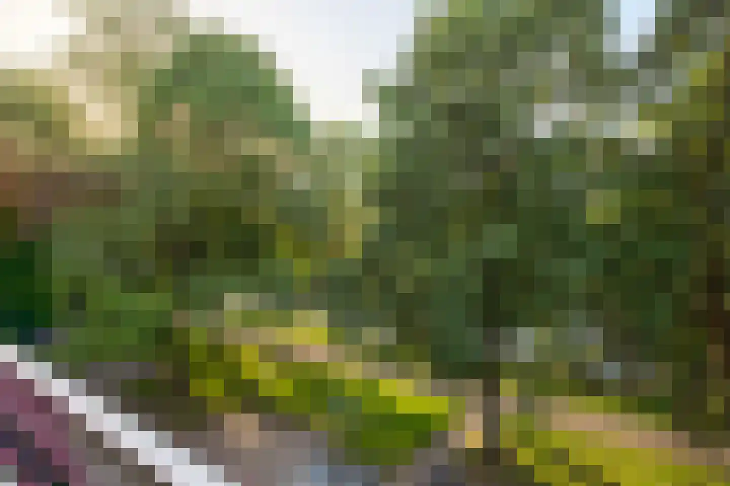 Mensinge 55 Amsterdam thumbnail 79