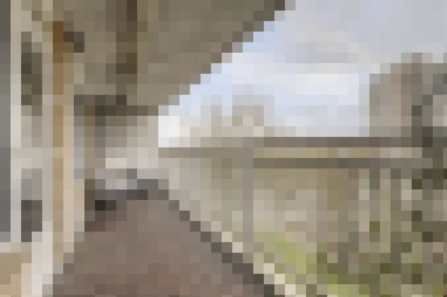 Mensinge 60 Amsterdam thumbnail 22