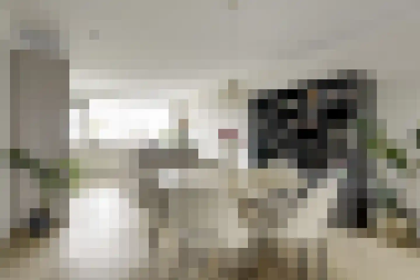 Mensinge 60 Amsterdam foto 3