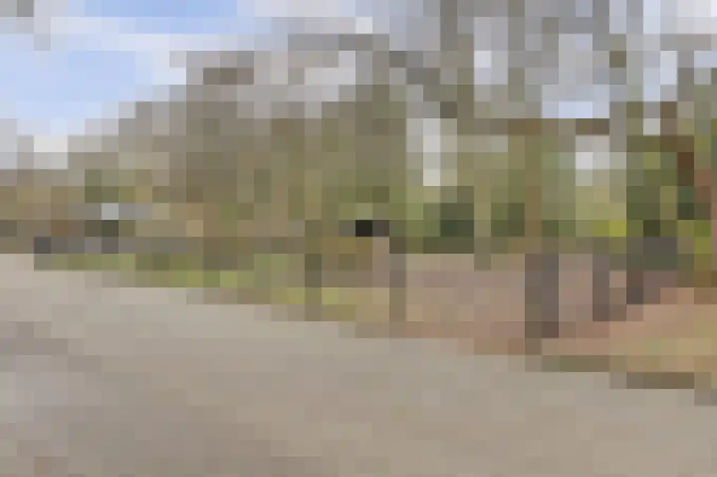 Mensinge 60 Amsterdam thumbnail 48