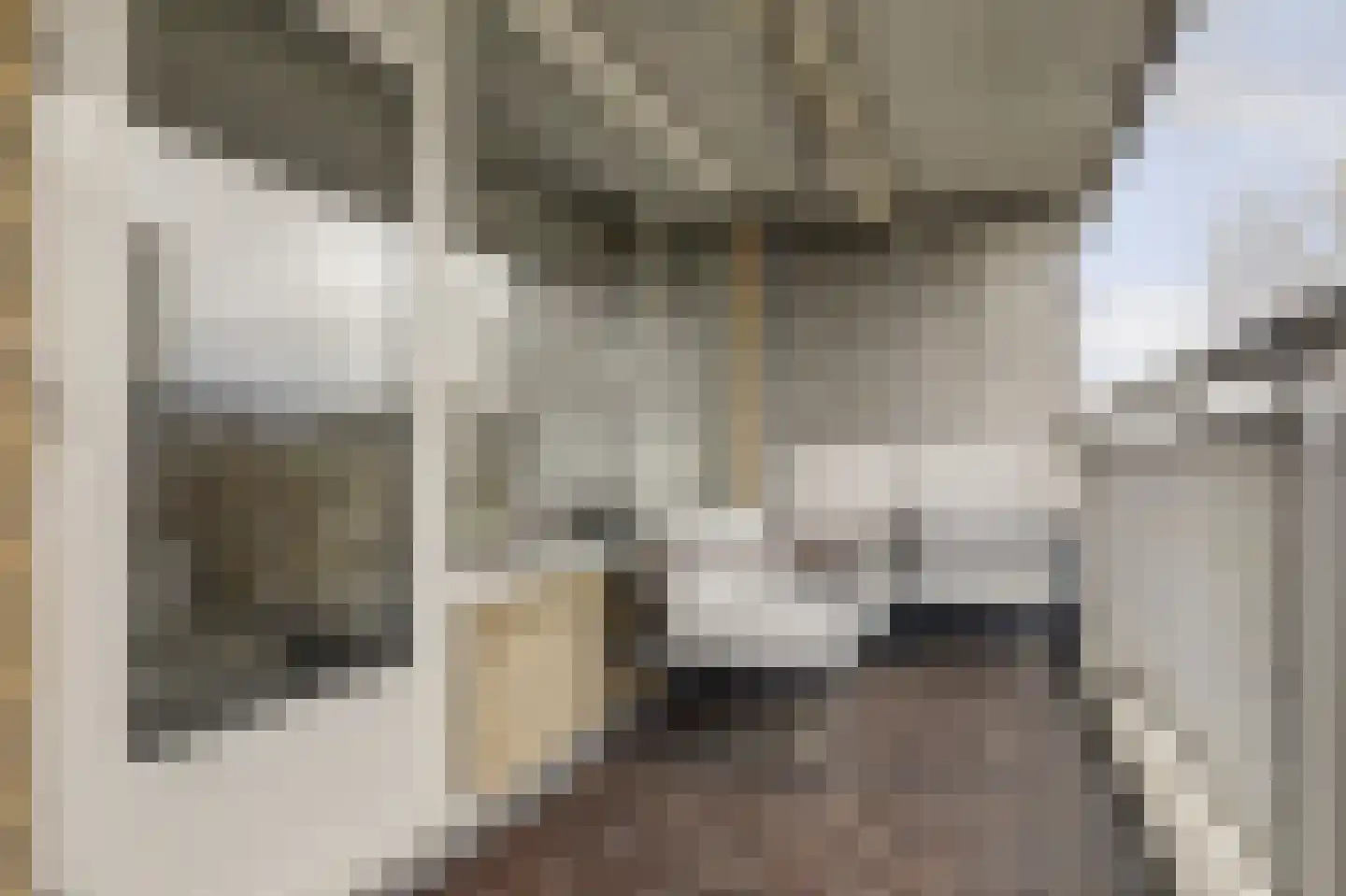 Mensinge 60 Amsterdam thumbnail 8