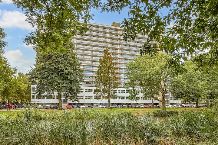 Mensinge 63 in Amsterdam Foto