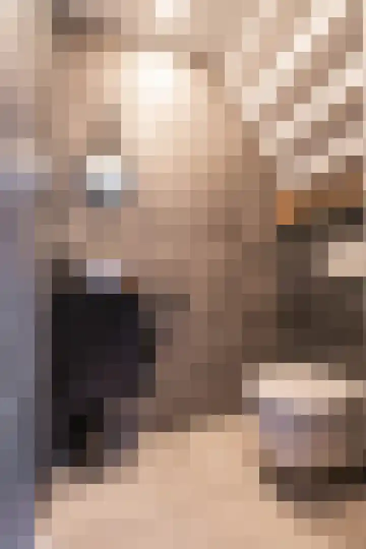 Mensinge 7 Norg thumbnail 12