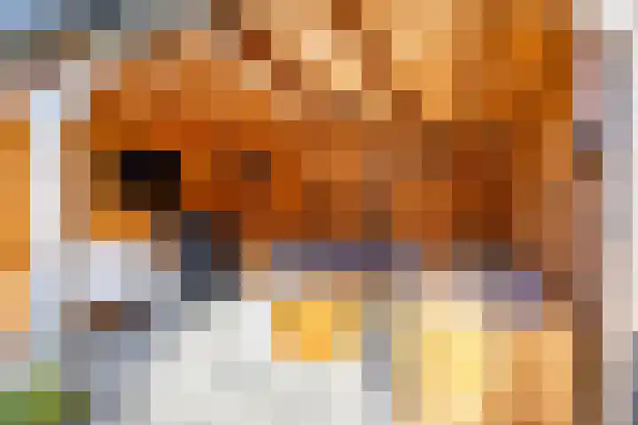 Mensinge 7 Norg thumbnail 40
