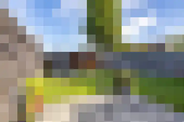 Mensinge 7 Norg thumbnail 5