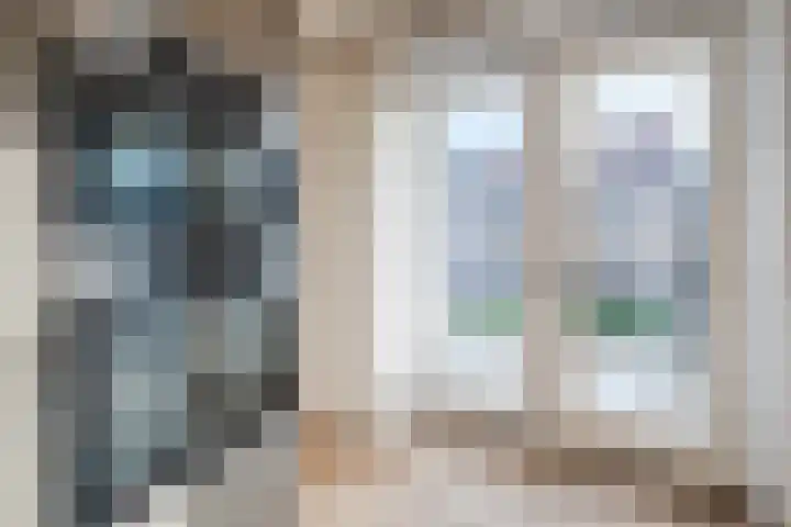 Mensinge 8 Meppel thumbnail 12