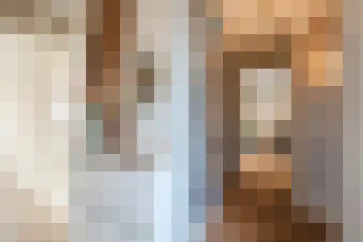 Mensinge 8 Meppel thumbnail 17