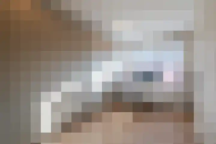 Mensinge 8 Meppel thumbnail 18