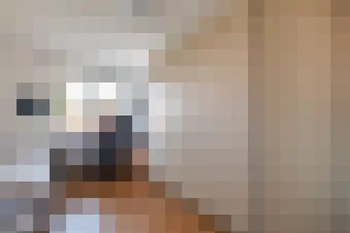 Mensinge 8 Meppel thumbnail 28