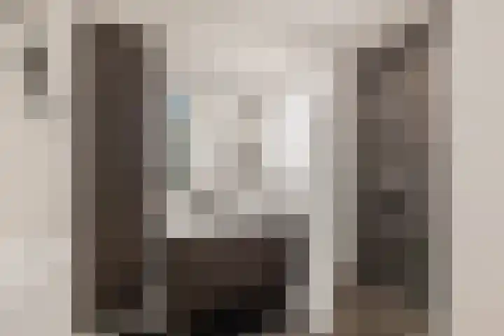 Mensinge 8 Meppel thumbnail 32