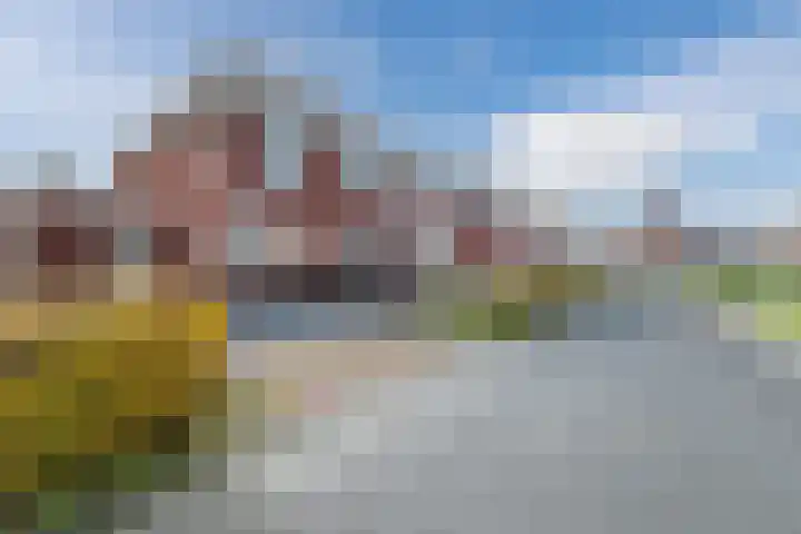 Mensinge 8 Meppel thumbnail 37