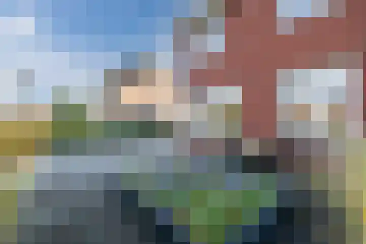 Mensinge 8 Meppel thumbnail 39