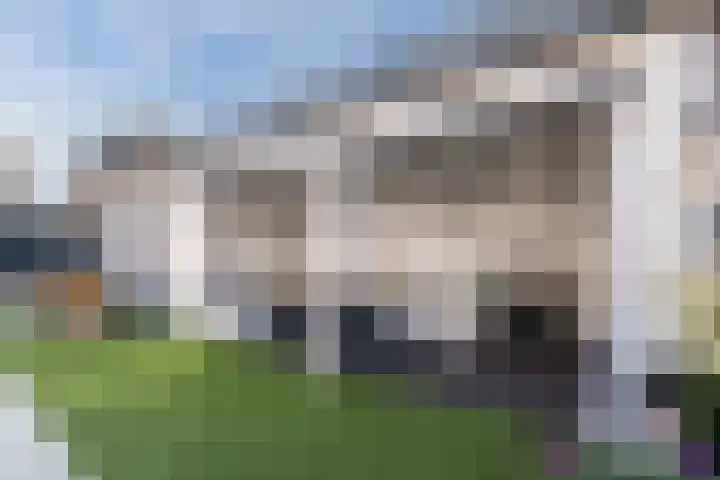 Mensinge 8 Meppel thumbnail 43