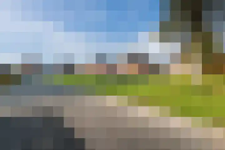 Mensinge 8 Meppel thumbnail 45