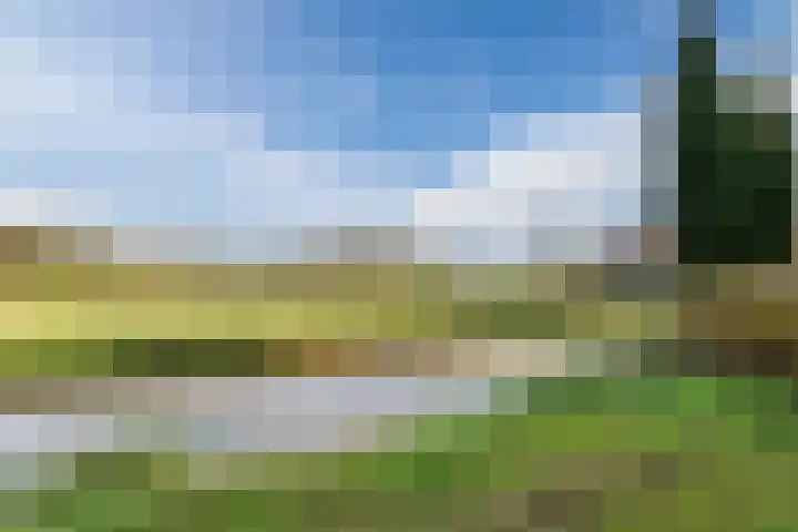 Mensinge 8 Meppel thumbnail 46