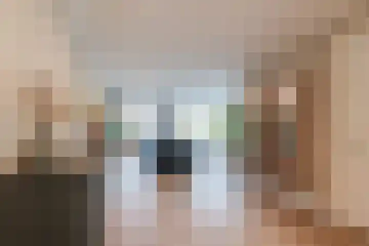 Mensinge 8 Meppel thumbnail 7