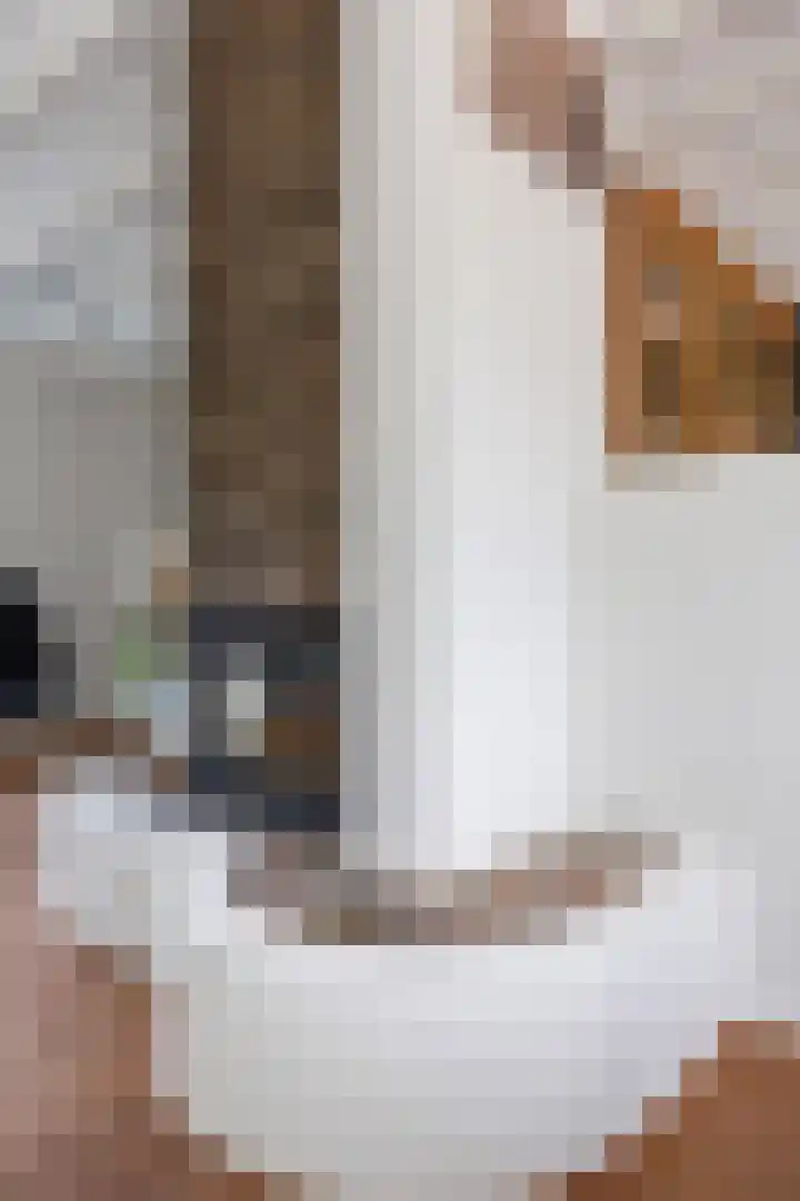 Mensingeweersterweg 2 B Eenrum thumbnail 28