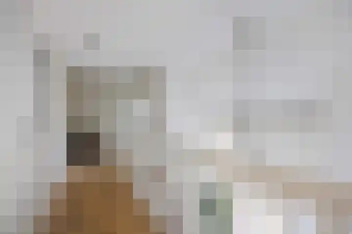 Mensingeweersterweg 2 B Eenrum thumbnail 40