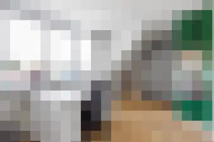 Mensingeweersterweg 2 B Eenrum thumbnail 48
