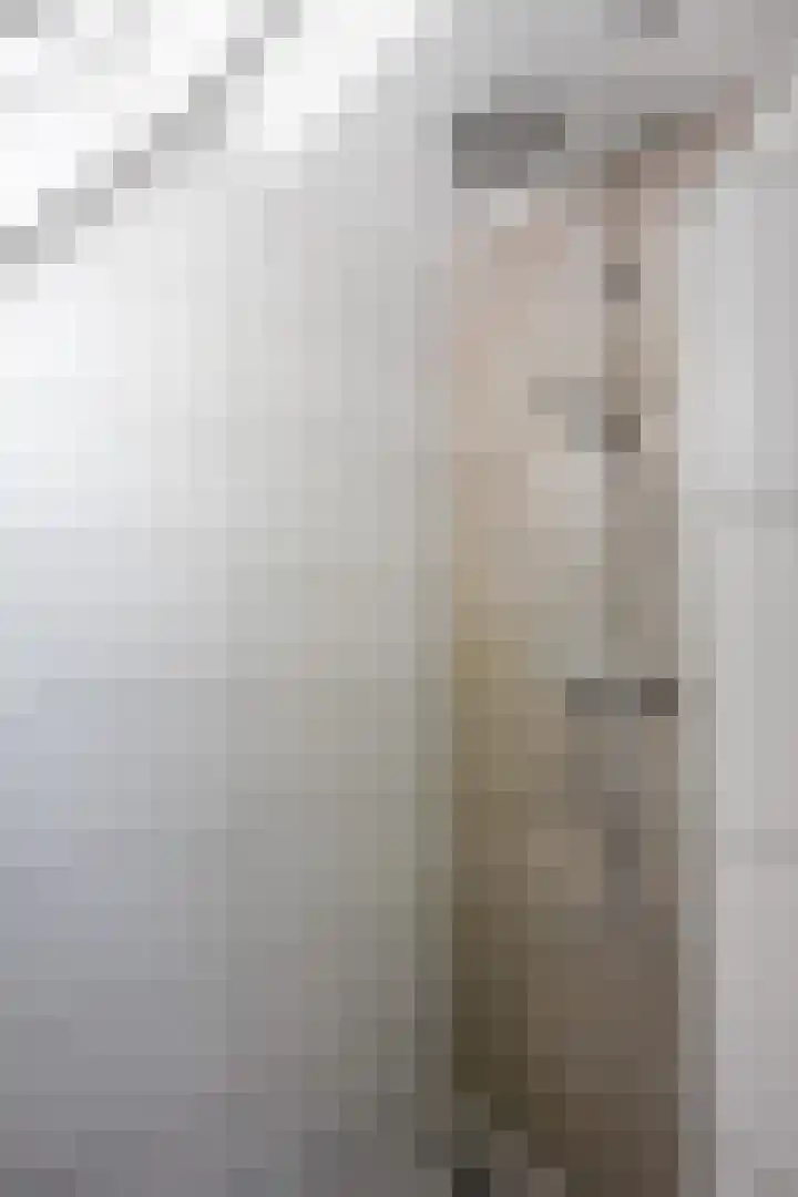 Mensingeweersterweg 2 B Eenrum thumbnail 55