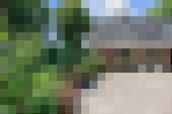 Mensingeweersterweg 2 B Eenrum thumbnail 63