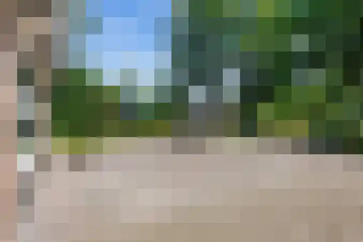 Mensingeweersterweg 2 B Eenrum thumbnail 64