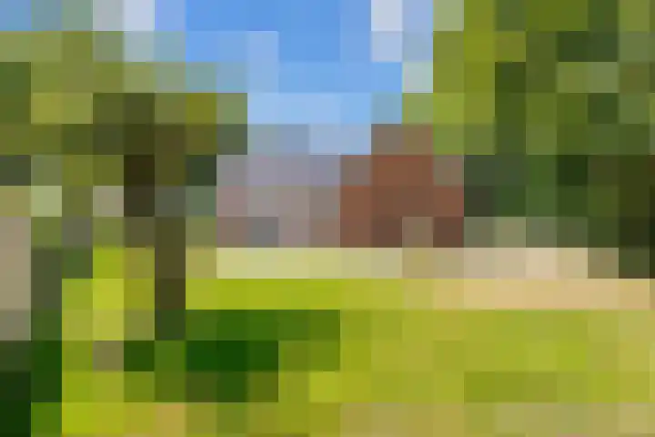 Mensingeweersterweg 2 B Eenrum thumbnail 66
