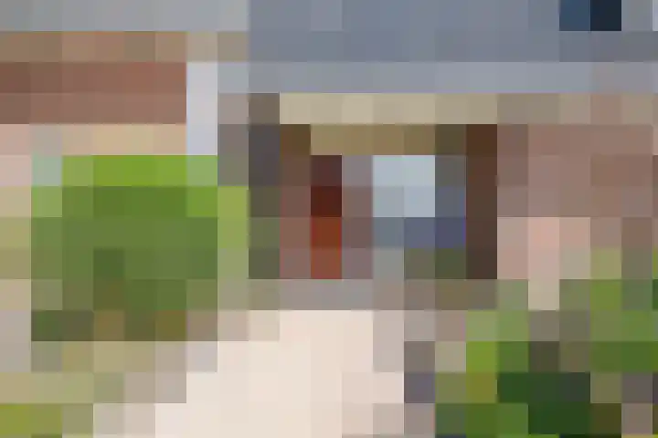 Mensingeweersterweg 2 B Eenrum thumbnail 7