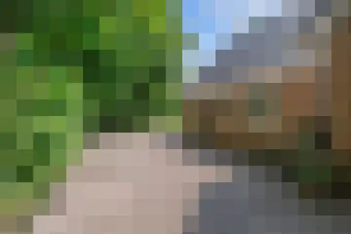 Mensingeweersterweg 2 B Eenrum thumbnail 70