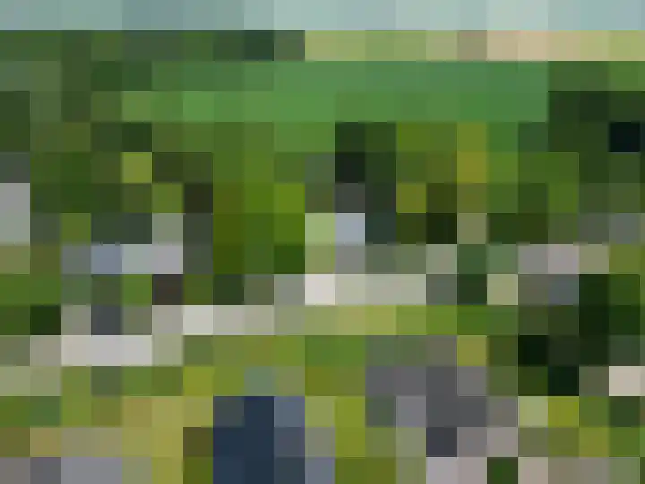 Mensingeweersterweg 2 B Eenrum thumbnail 81