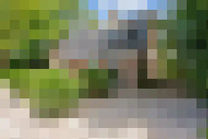 Mensingeweersterweg 2 B Eenrum thumbnail 84