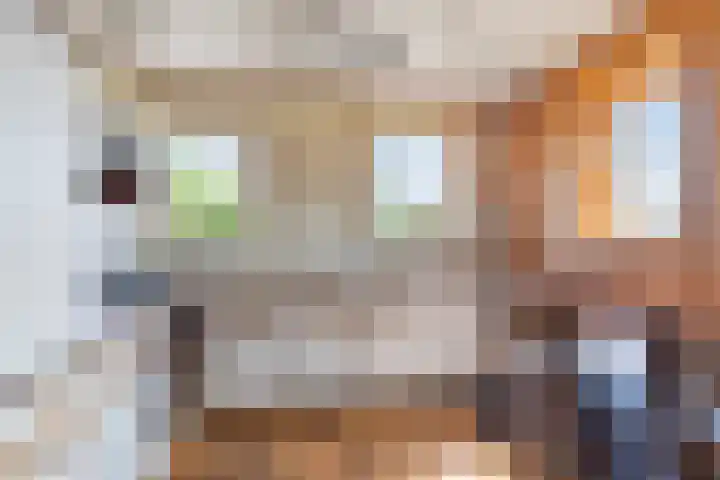 Mensingeweersterweg 4 A Eenrum thumbnail 18